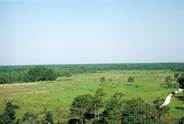 View Image Detail