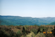 View Image Detail