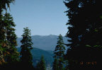 View Image Detail