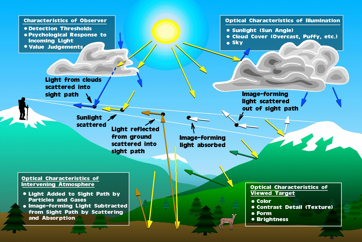 visibility-basics