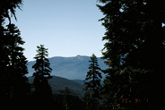 View Image Detail