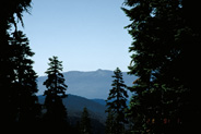View Image Detail