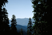 View Image Detail
