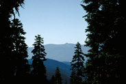 View Image Detail