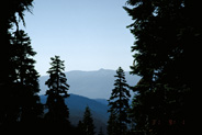 View Image Detail