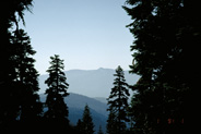 View Image Detail