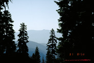 View Image Detail