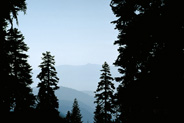 View Image Detail