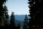 View Image Detail