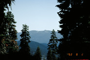 View Image Detail