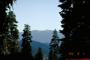 View Image Detail