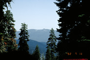 View Image Detail