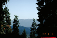 View Image Detail