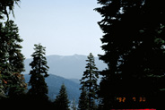 View Image Detail