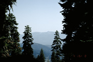 View Image Detail