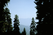 View Image Detail