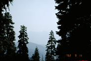 View Image Detail