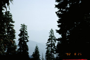 View Image Detail