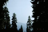 View Image Detail