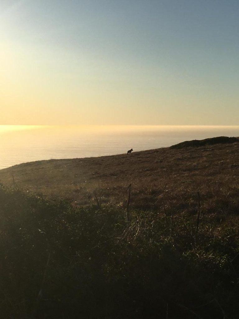 sun beams over coastal banks