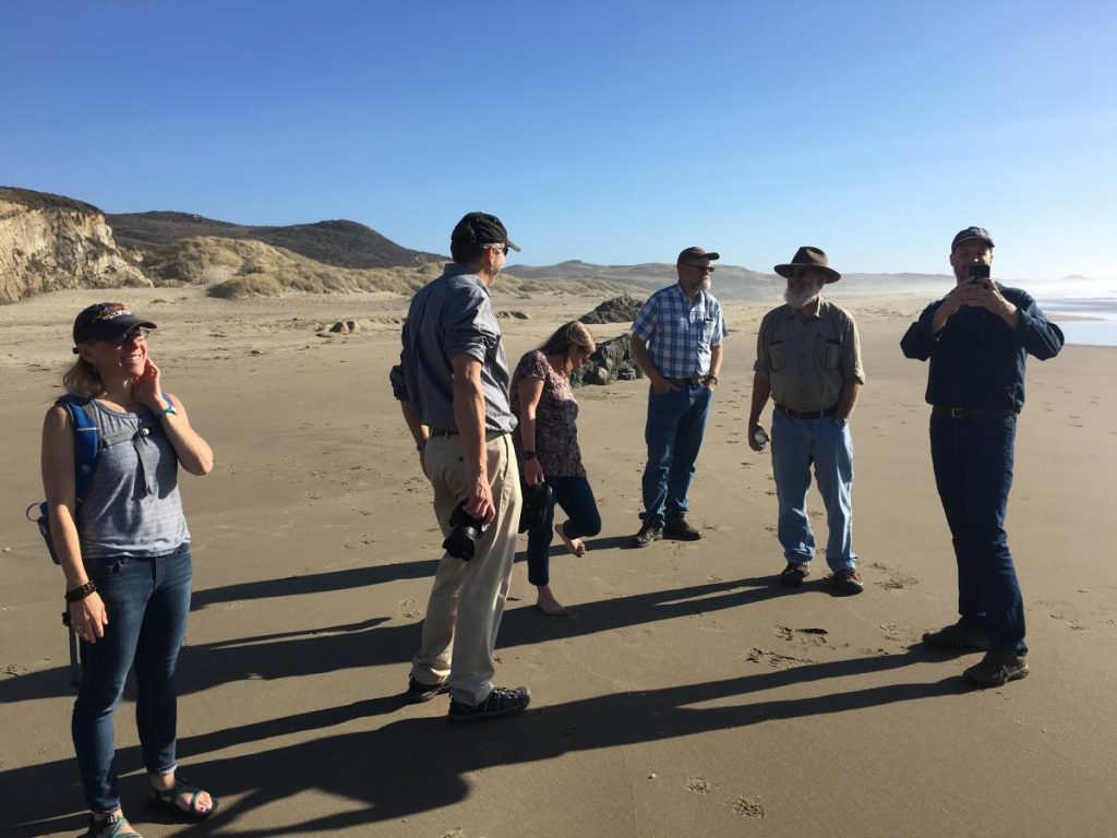 attendees on the beach