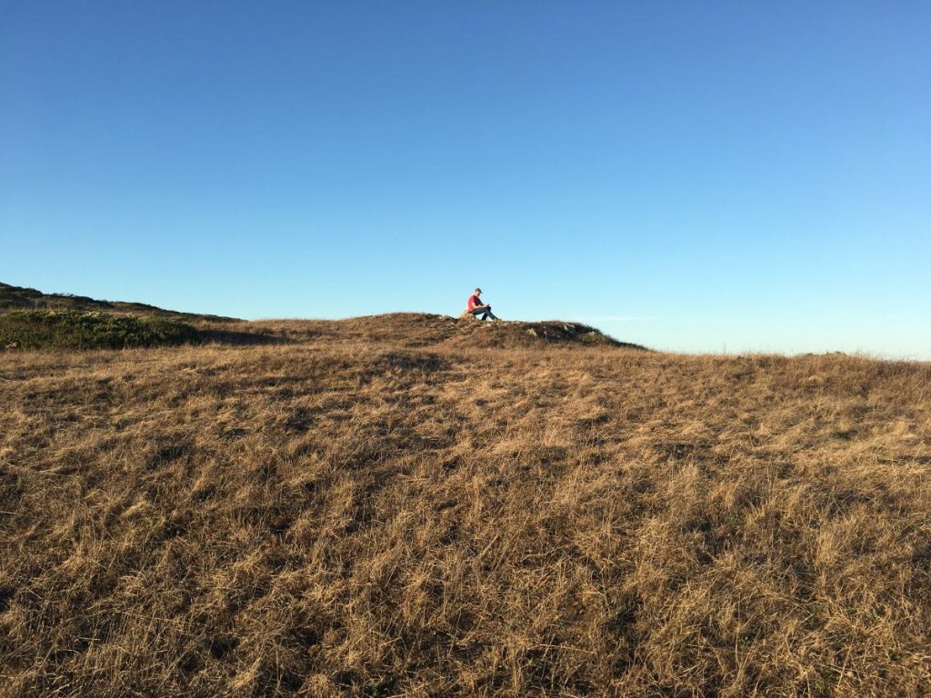 large open grassy field